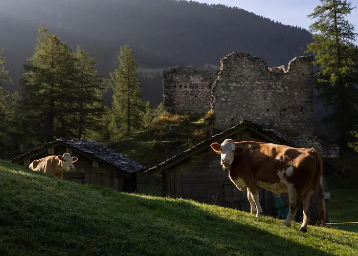 Bodenhaus 3* Splügen